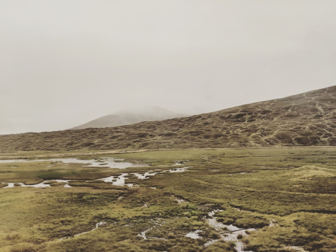 Misty peatlands