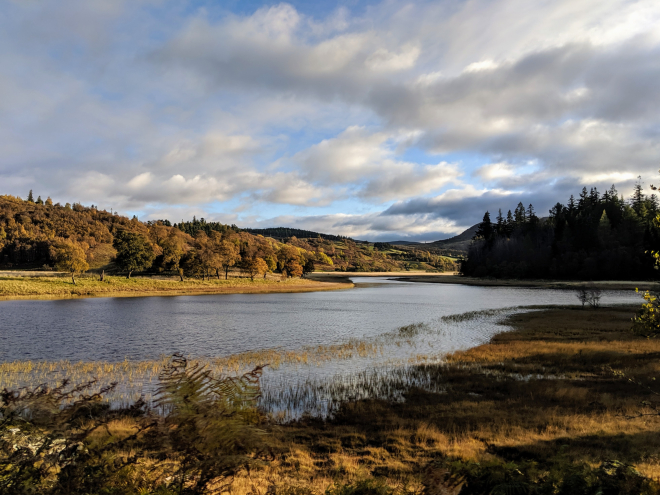 River Spey with woods in the distance