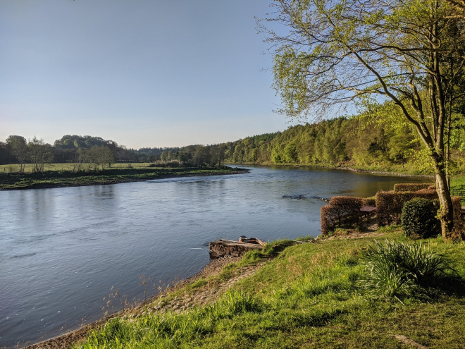 Riverbank in Perthshire