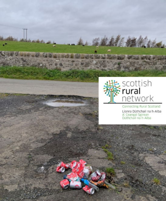 Image of Litter - R Low - Rural Fife 