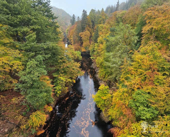 View from Killiecrankie bridge 