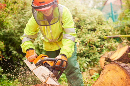 Woman in Forestry - image of Forester 