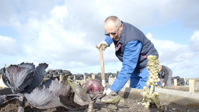 Man digging in raised bed