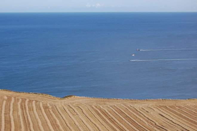 Barley Harvest and Fishing Boats at Hilton Bay, Scotland