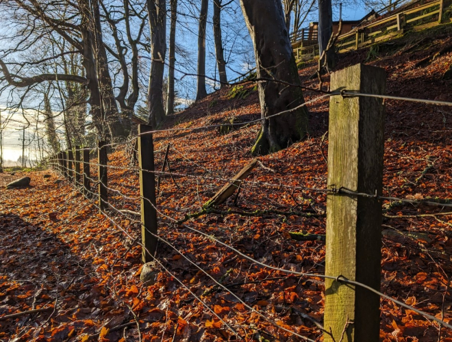 Old fence separating farm land from woodland