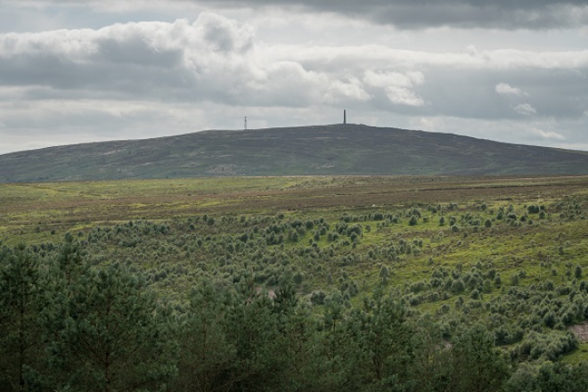 Langholm Moor copyright David Lintern - John Muir Trust