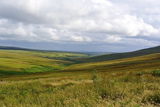 Langholm Moor copyright Tom Hutton