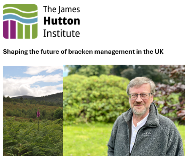 Shaping the future of bracken management in the UK