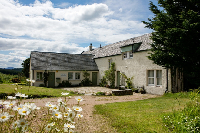 White building surrounded by grass and garden with daisies in foreground