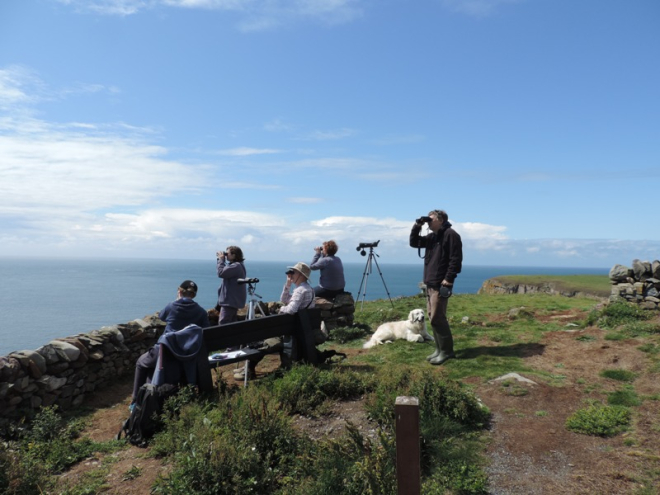 People surveying sea at Mull of Galloway