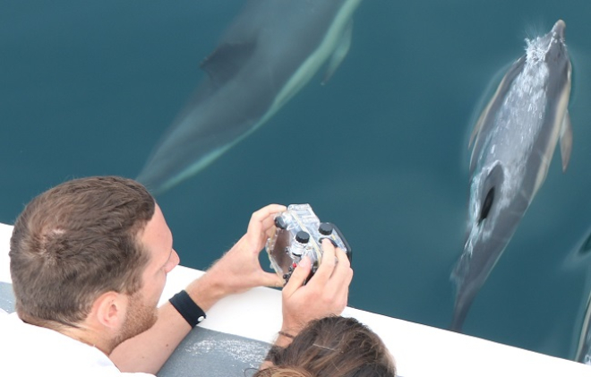 Volunteer Sea-Watchers dolphin watching off Newquay, Cornwall on August 3rd, 2018, during last year’s NWDW event . Photo credit: Newquay Seasafaris and Fishing. 