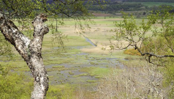 Woodland and flooded farmland - Image by Nature Scot 