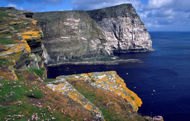 Noss National Nature Reserve, Shetland ©Lorne Gill/NatureScot