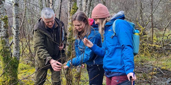 Group of 3 people inspecting woodland habitat