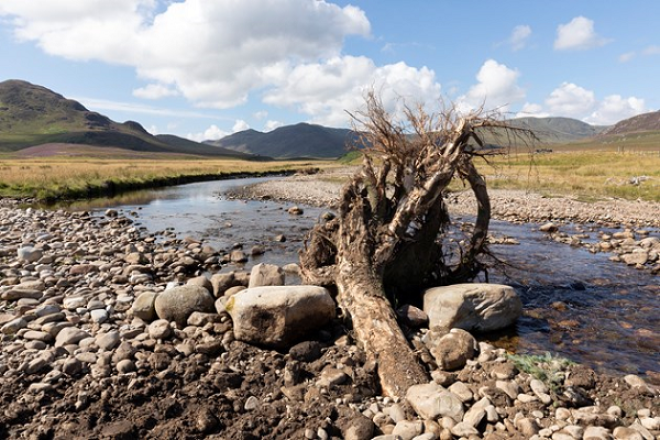 Nature Restoration Fund, NatureScot