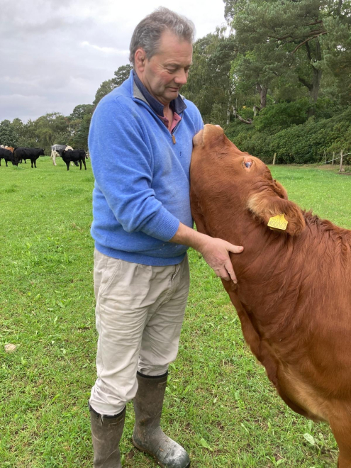 Image of Neil and cattle - RASBI