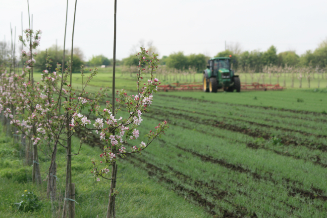 Tractor in field with trees, courtesy Stephen Briggs