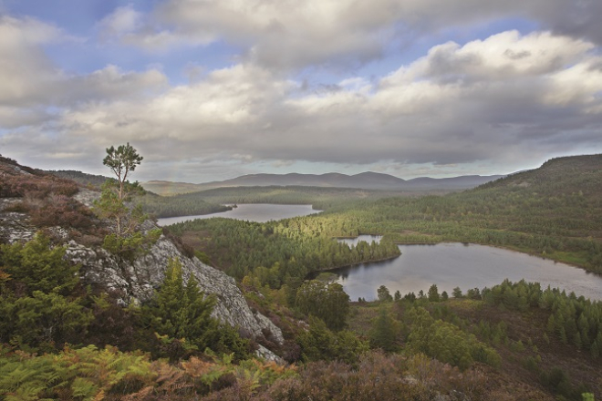 Cairngorms National Park landscape