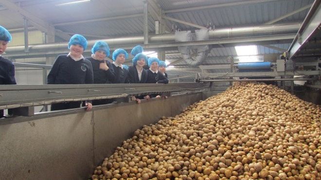 Pupils visiting Mackie's factory