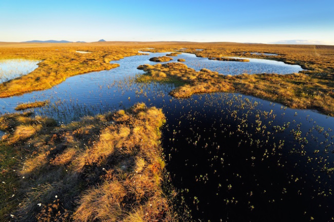 Flow country landscape