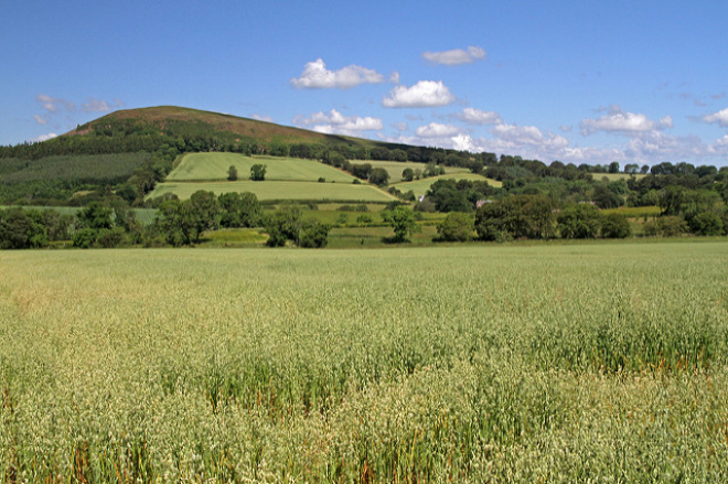 farm landscape