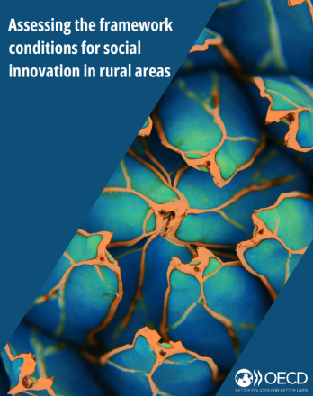 Assessing the framework conditions for social innovation in rural areas