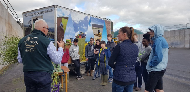 Pupils learning about oilseed rape