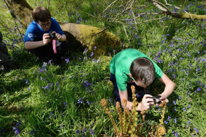 Children learning in a bluebell woodland. 