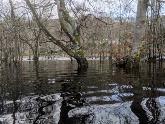 Improving Scotland’s flood resilience