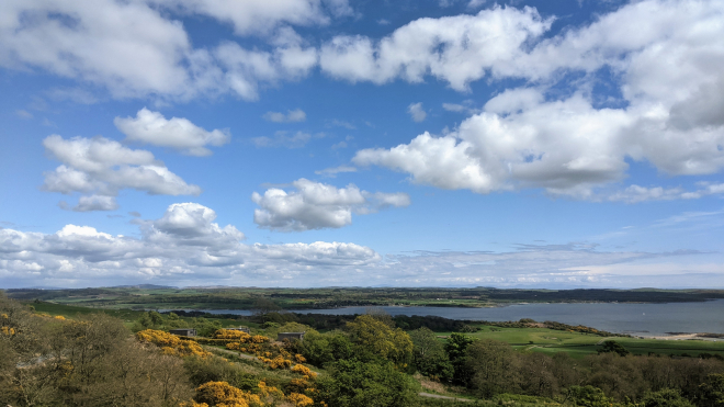 Dumfries & Galloway Tree Planting Grant scheme launched