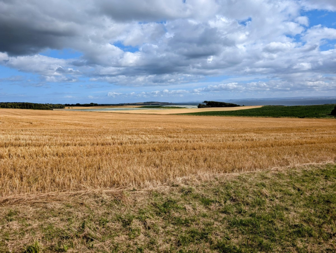 Field in Fife