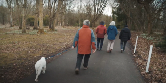 People walking with dog