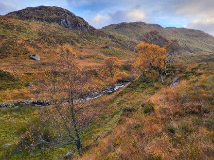 Auchlyne: The Wild Strathfillan landscape 