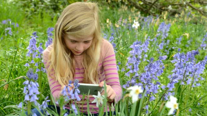 Young girl viewing plants through a mobile phone