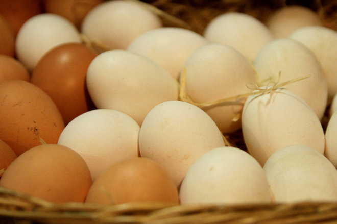 Eggs