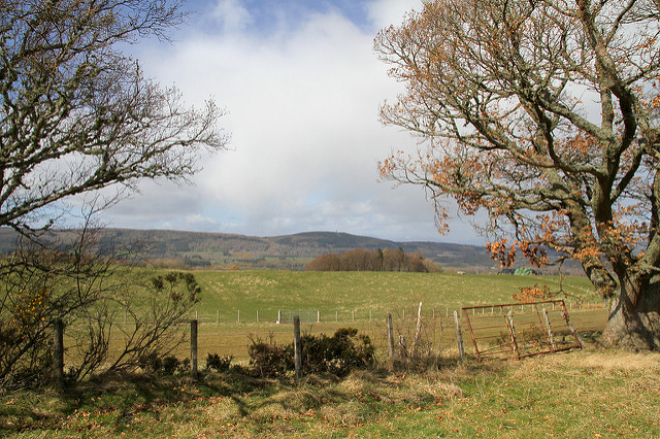 Farm landscape