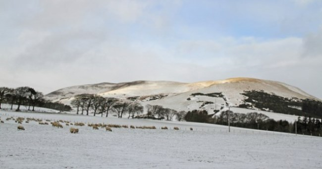 Snowy field