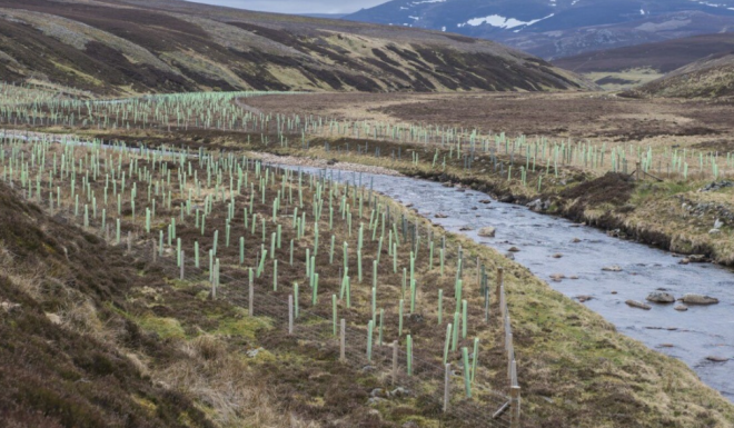 Image: The River Dee Trust