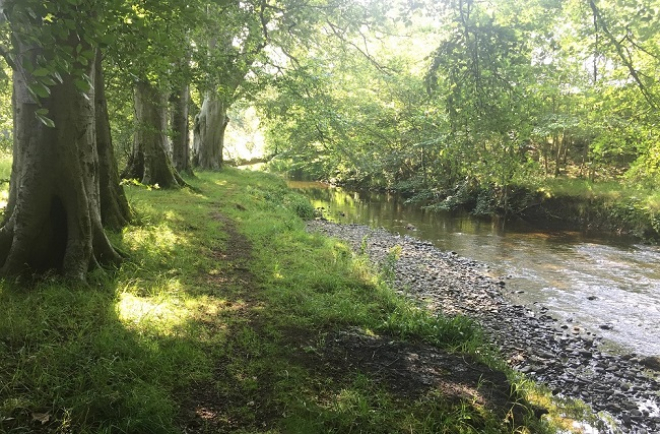 River Walk in Coulter copyright Community Action Lanarkshire