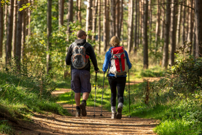 2 Walkers on a wooded section of the John Muir Way