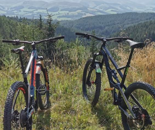 Two bicycles propped up in rural setting