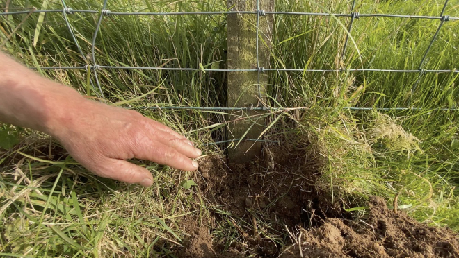 soil at Rainton Farm