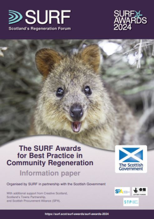 SURF Awards information paper front cover