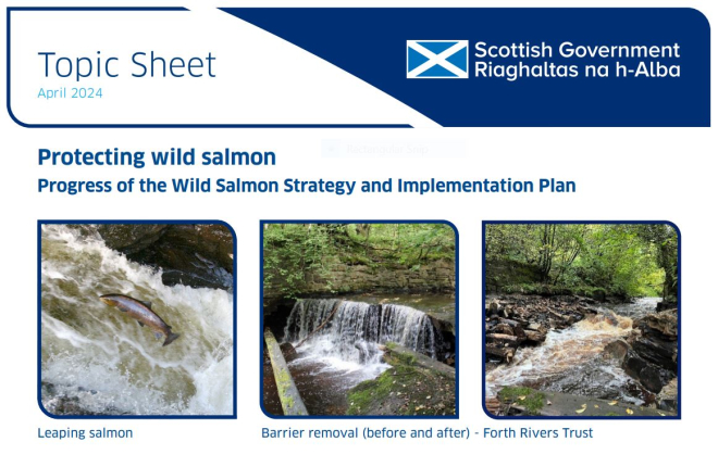 Topic sheet Progress of the Wild Salmon Strategy and Implementation Plan