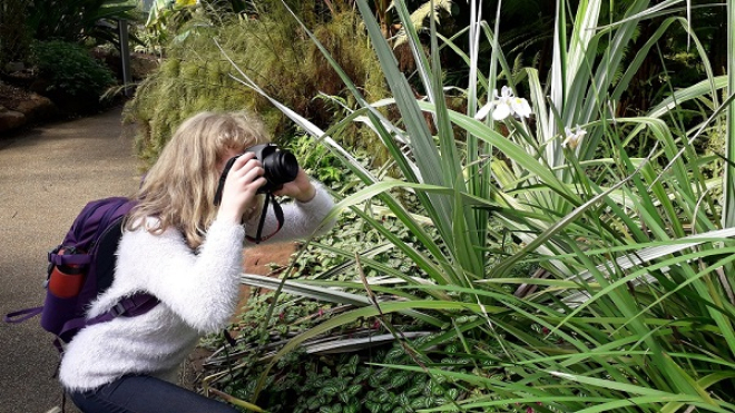 Person taking a photo