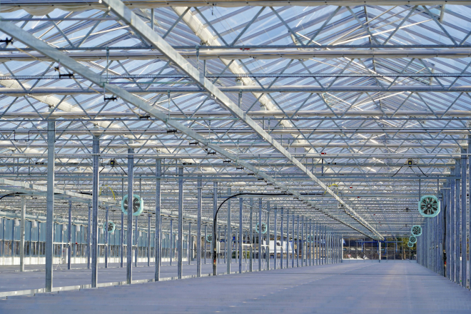 The new state-of-the-art 12,000m2 glasshouse