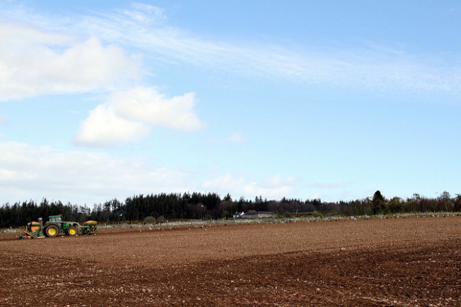 Tractor in field