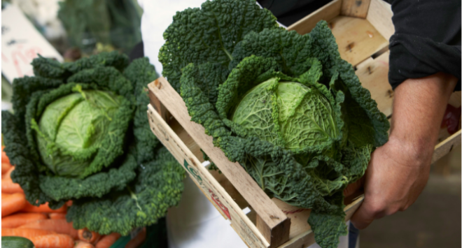 Vegetables being put in crates