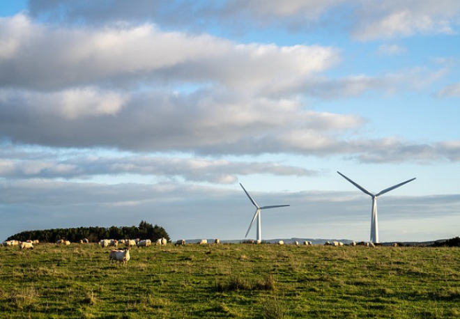 Wind farm (Rural Matters Flickr)