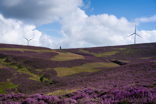 Windmills on Heather Hill